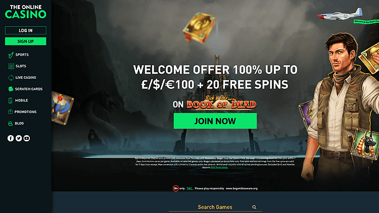 The Online Casino